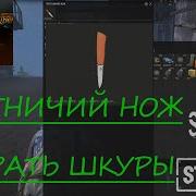 Stalker Online Где Взять Охотничий Нож Бесплатно Не Квест