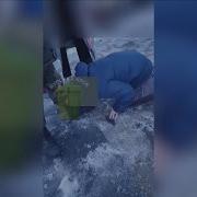 Сосать И На Колени Встать