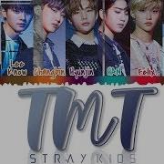 Stray Kids Tmt Lyrics