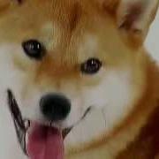 Mlg Doge Meme