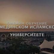 Общежитие В Мединском Исламской Университете По Все Вопросам