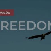 Freedom Nanebo