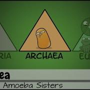 Archaea