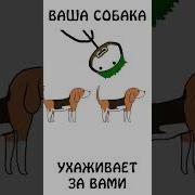 Меня Лижет Собака