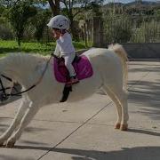 Adorable Pony Ride