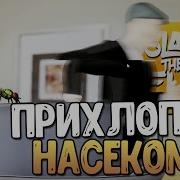 Slap The Fly Лучший Симулятор Мухи