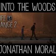 Life Is Strange 2 Into The Woods Official Soundtrack Ost Jonathan Morali