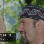 Gogni Gogni
