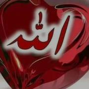 اجمل مديح تركي اللهم صل على سيدنا محمد الوصف والوحي والرسالة والحكمه وعلى آله وصحبه وسلم تسليما