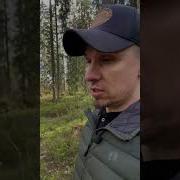 Китай Захватил Россию Никто Не Заметил