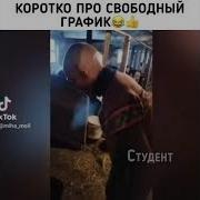 Люблю Свободный График Работы Прикол