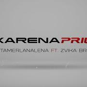 Tamerlanalena Karena Prius