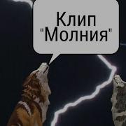 Wildcraft Молния Клип