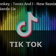 Dance Monkey Tones And I New Remix Full Bass 2019 By Nanda Lia