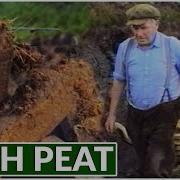 Peat Peat