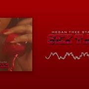 Megan Thee Stallion Sex Talk