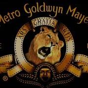 Metro Goldwyn Mayer Logo History Reversed