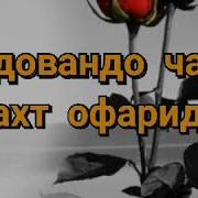 Худовандо Чаро Бахт Офариди