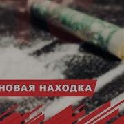 На Берегу Черного Моря Нашли 130 Килограммов Кокаина