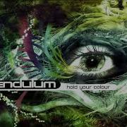 Pendulum Hold Your Colour Full Album