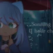 Sonning Meme