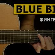 Blue Bird На Гитаре