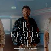 If You Really Love Me How Will I Know David Guetta Mistajam John Newman