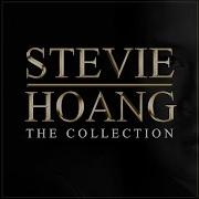 Stevie Hoang Falling For You