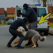 Двое Мужчин Похитили Мальчика