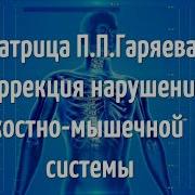 Матрица Петра Гаряева Коррекция Костно Мышечной Системы