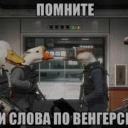 Гуси И Путин Восстание Гусей Месть Путину Прикол