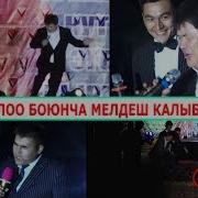 Бактияр Токторов М Н Универсал Буй Буй Лаш Боюнча Мелдеш