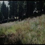 Unreal Engine 4 The Forest Photorealistic Wild Meadow