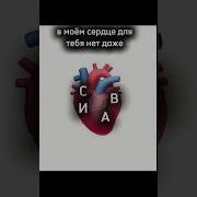Я Же Сразу Говорила Ты Не Очень