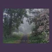 Мы Ждём Перемен Slowed Reverb