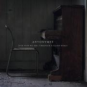 Antonymes Elegy Iv