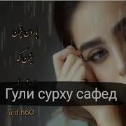 Гули Сурху Сафеди Ман