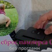 Сброс Памперса Canon G1400 Ошибка 5B00