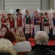 Українська Народна Пісня Ой У Полі Жита Много