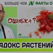 1383 Парадокс Растений Д Ра Гандри Это Ошибка Больше Чем Факты О