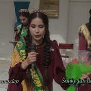 Sonky Jan