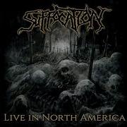 Suffocation Live In North America