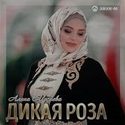 Алина Мусиева Иса