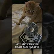 Levitating Cat Robots