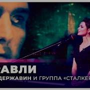 Андрей Державин Журавли Live Музыка