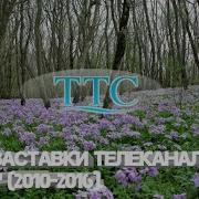 Ттс Заставка