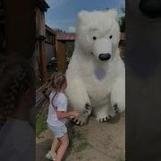 Видео Поздравление От Белого Медведя На День Рождения