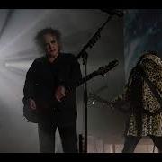 The Cure Live