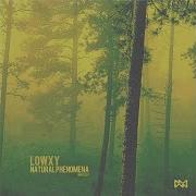 Lowxy Dew