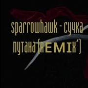 Sparrowhawk Все Песни